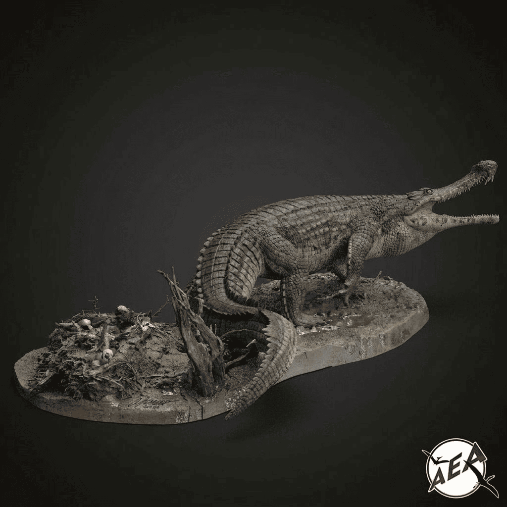 Sarcosuchus imperator