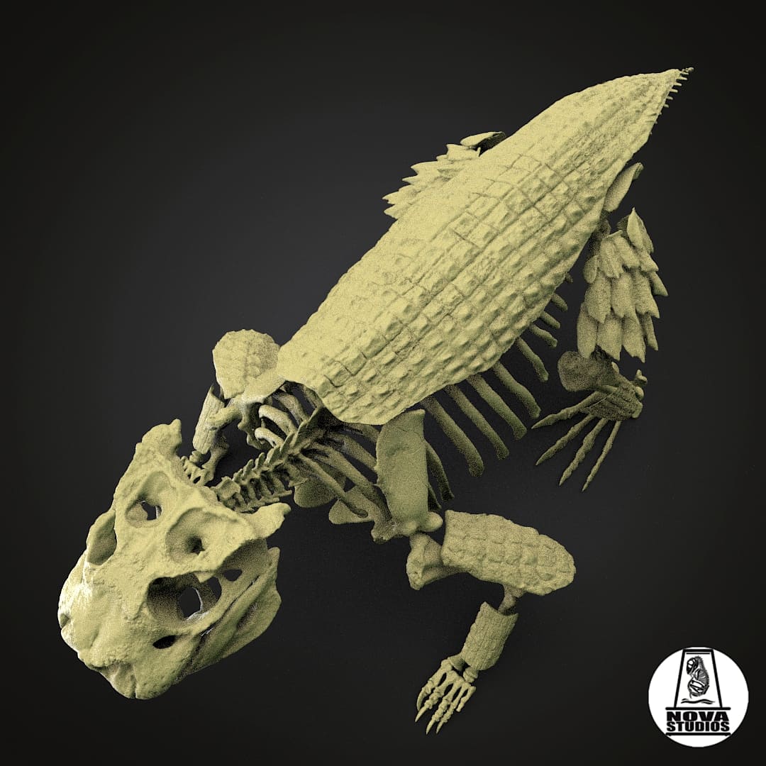 Simosuchus clarki