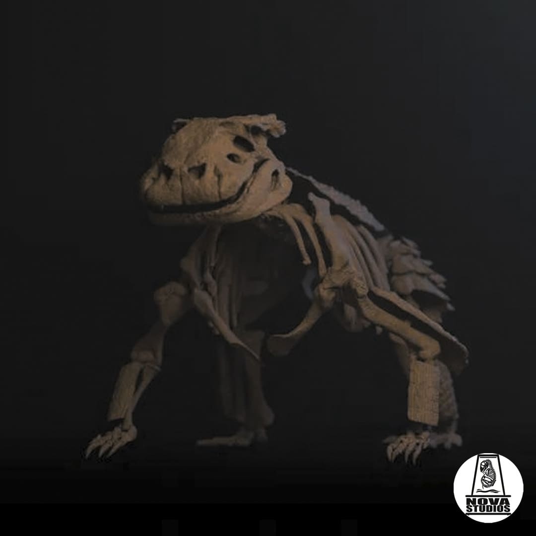 Simosuchus clarki