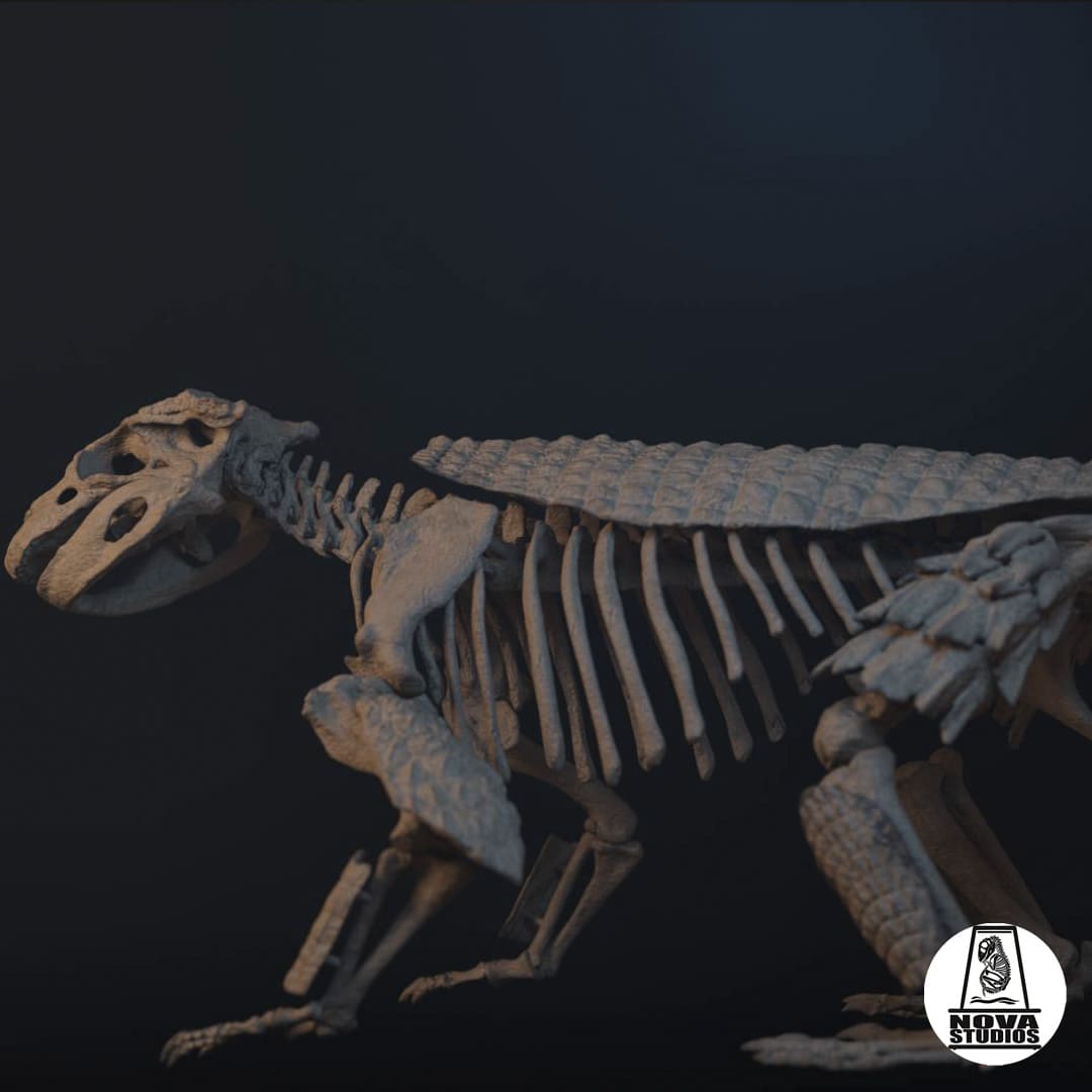 Simosuchus clarki
