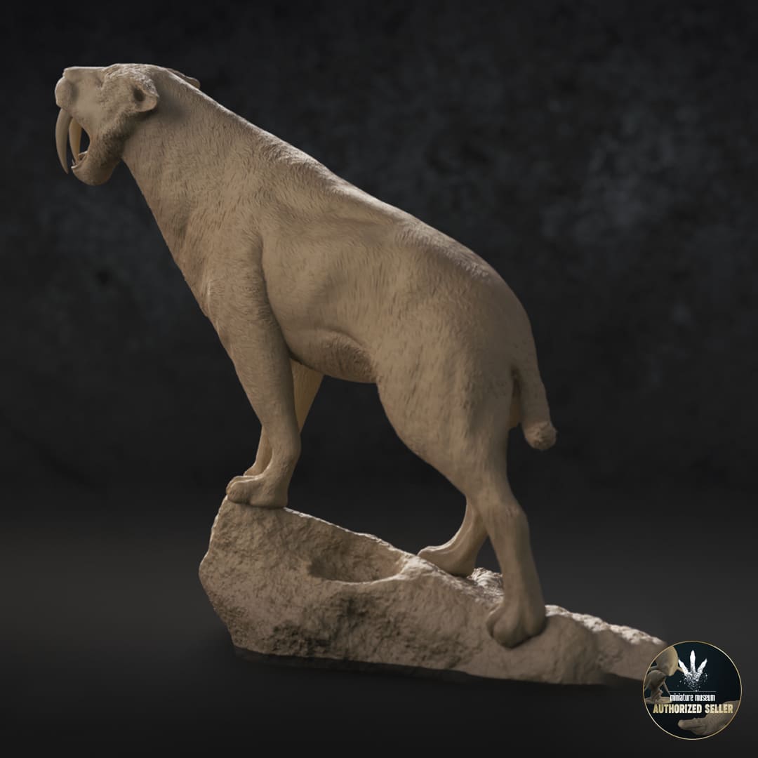 Smilodon populator