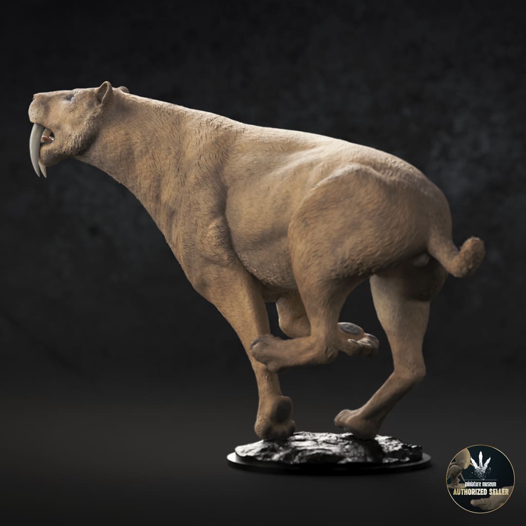Smilodon populator