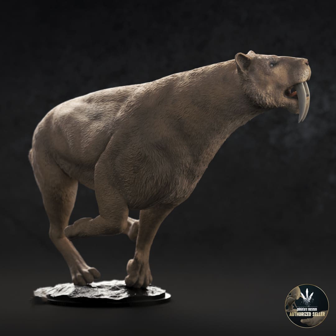Smilodon populator