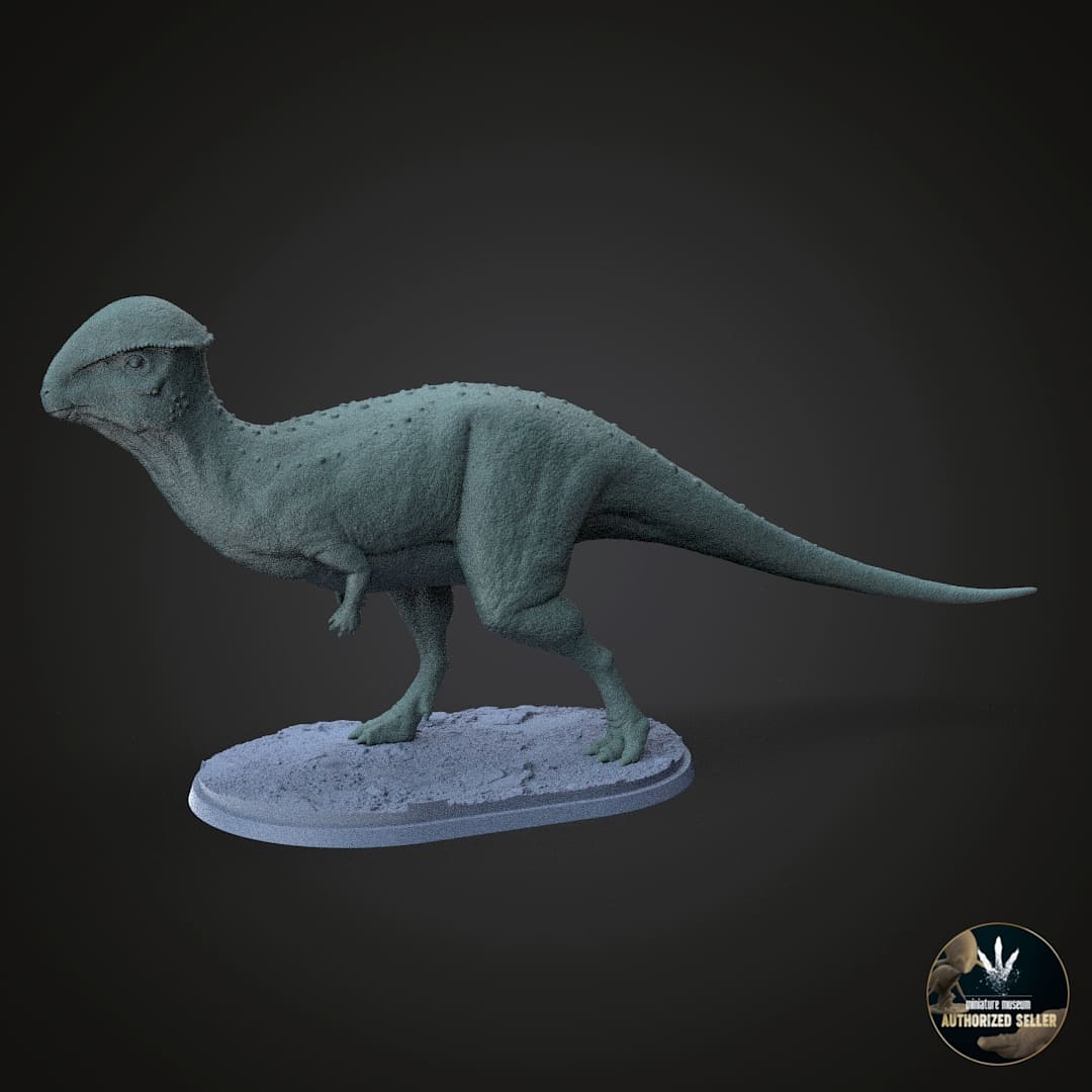 Stegoceras validum