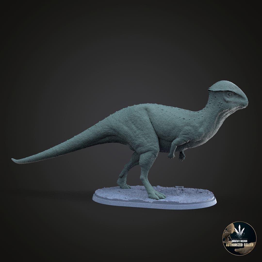 Stegoceras validum