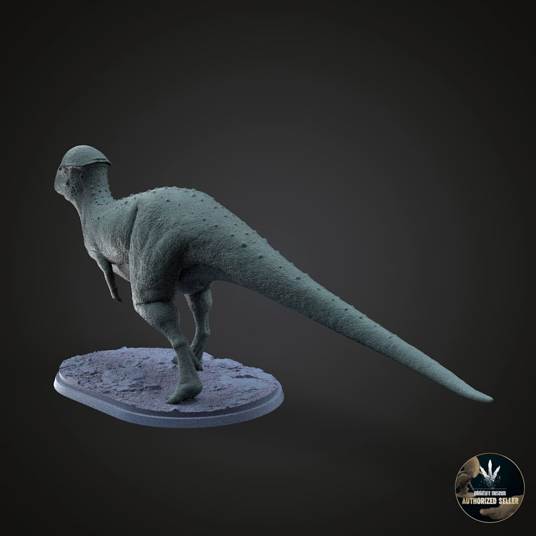 Stegoceras validum