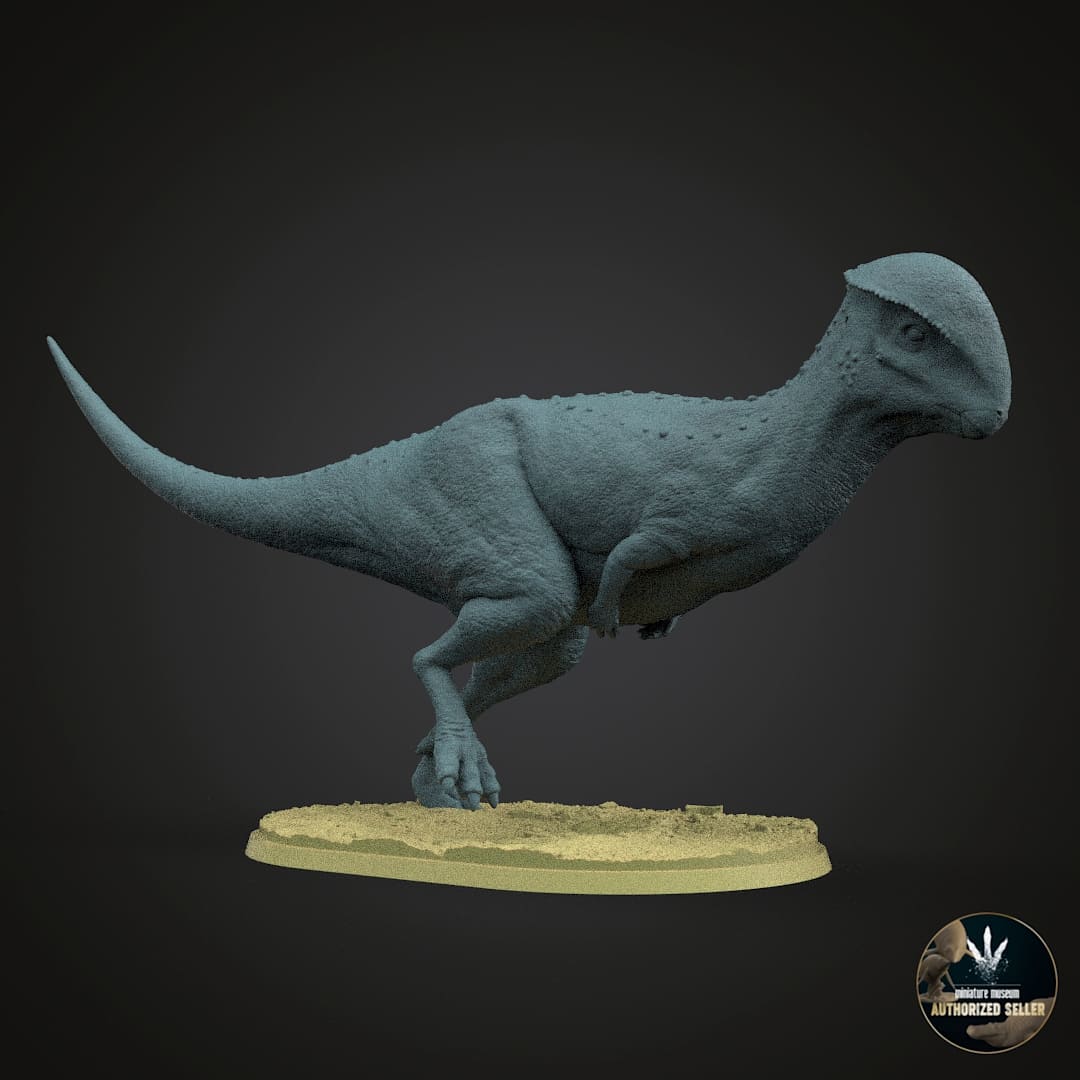 Stegoceras validum