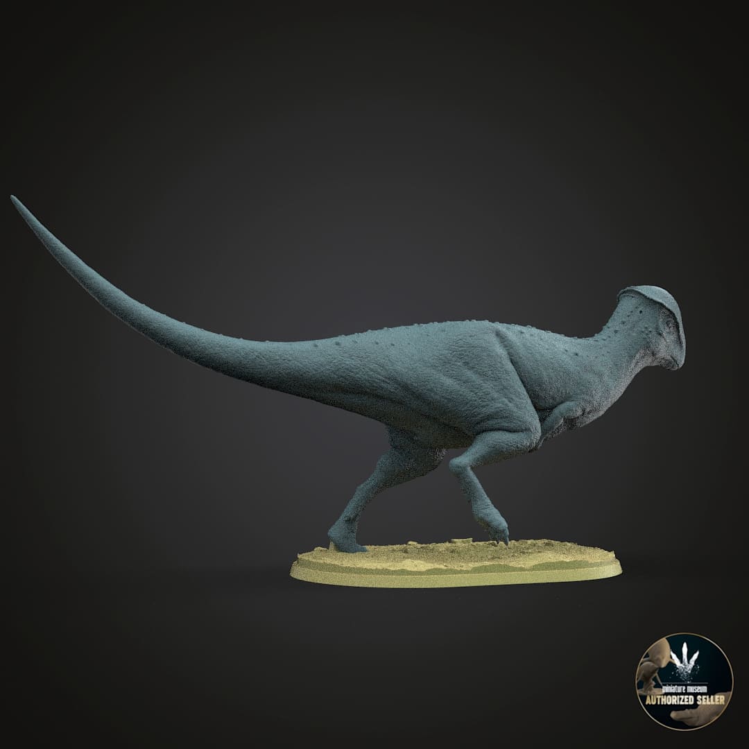 Stegoceras validum