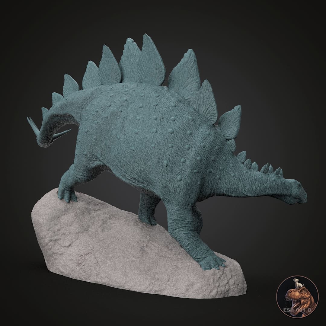Stegosaurus stenops