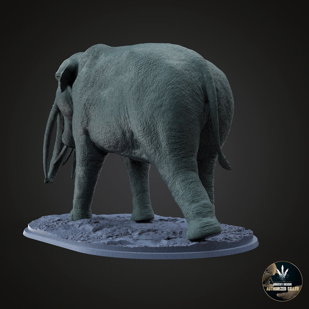 Stegotetrabelodon syrticus