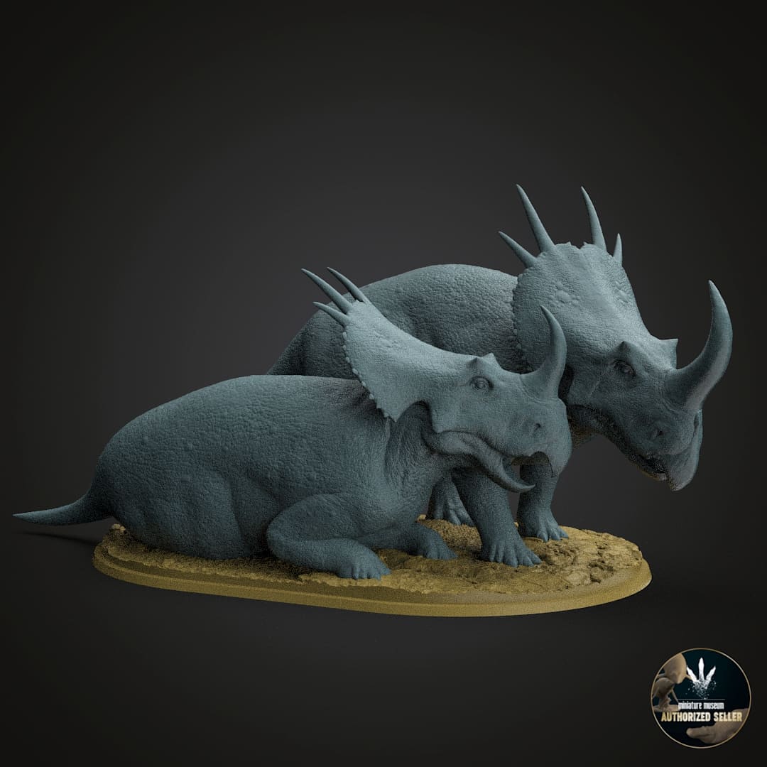 Stellasaurus ancellae