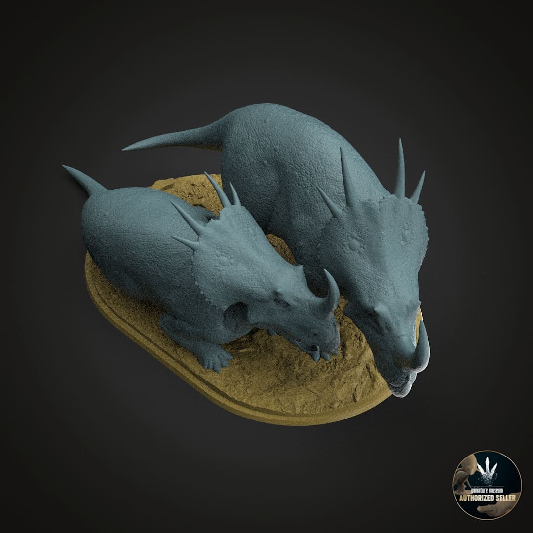 Stellasaurus ancellae