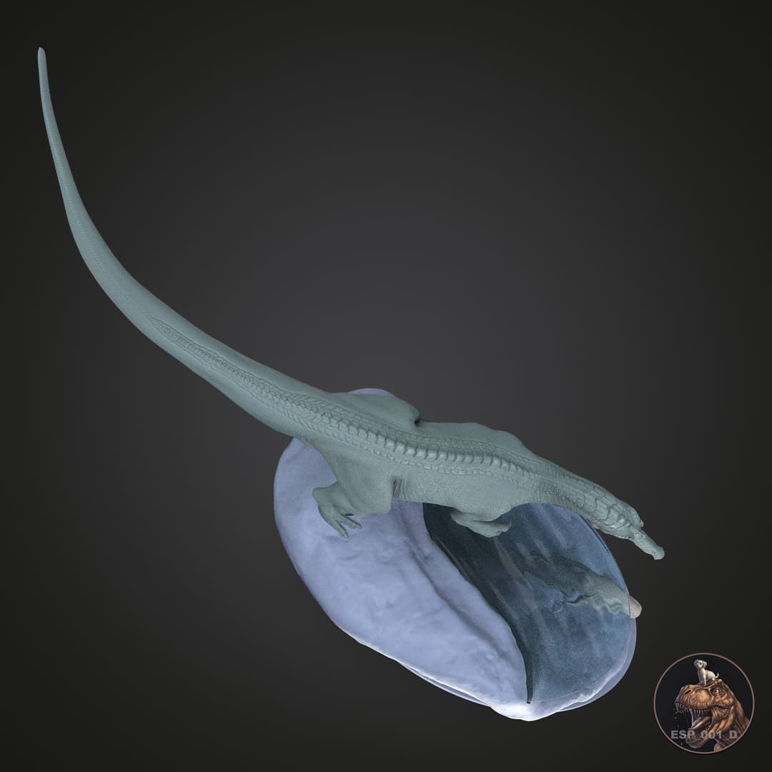 Suchomimus tenerensis