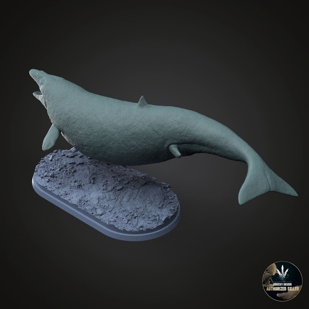 Supayacetus muizoni