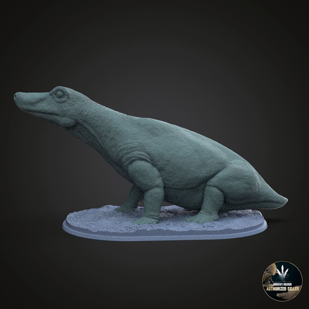 Tetracynodon tenuis