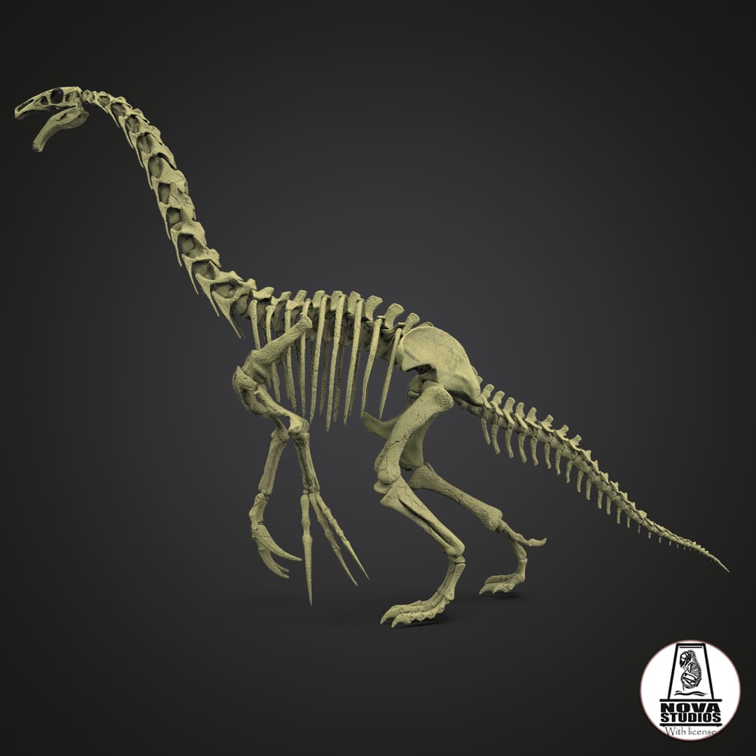 Therizinosaurus skeleton
