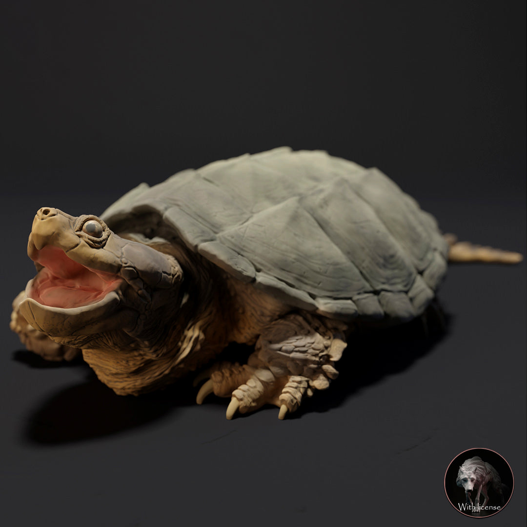 Chelydra serpentina (Snapping turtle)