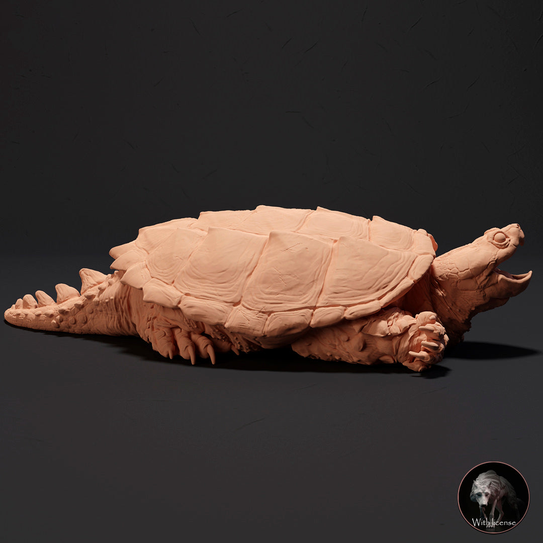 Chelydra serpentina (Snapping turtle)