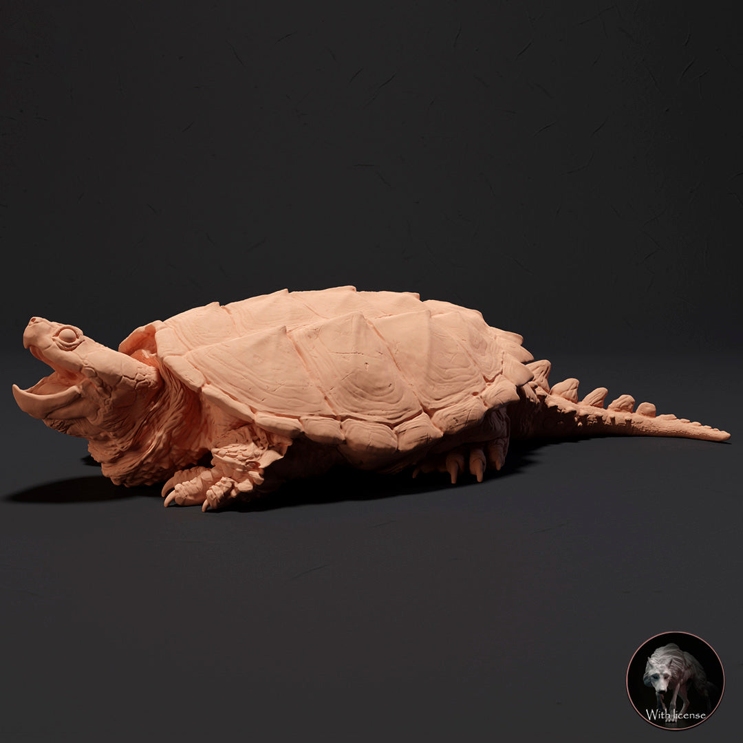 Chelydra serpentina (Snapping turtle)