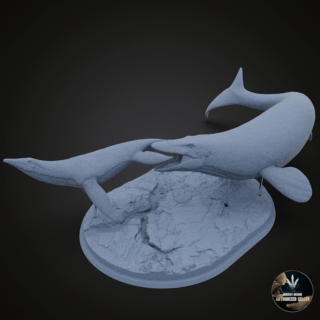 Tylosaurus proriger / Dolichorhynchops osborni