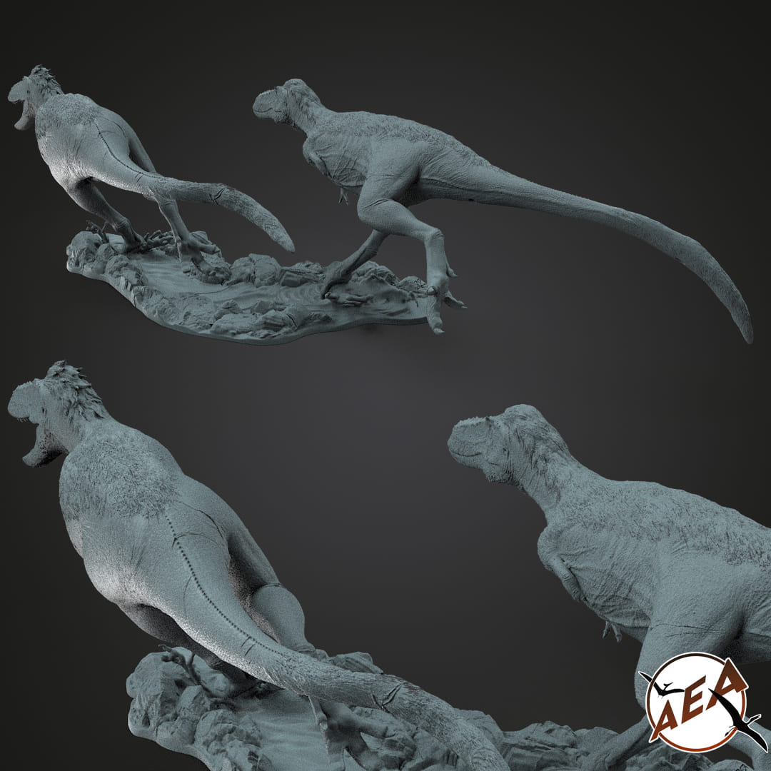 Subadult Tyrannosaurus rex