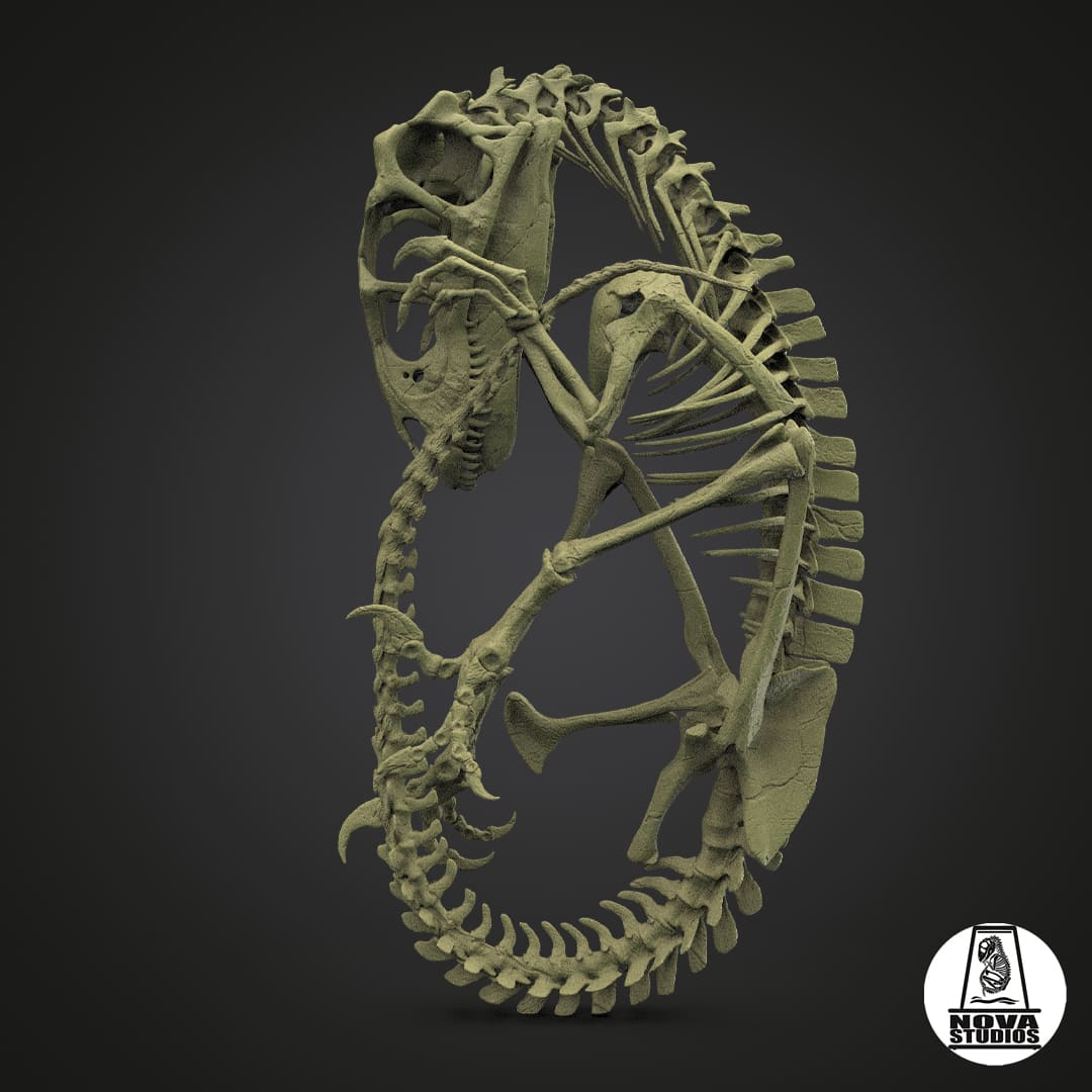 Utahraptor fetus