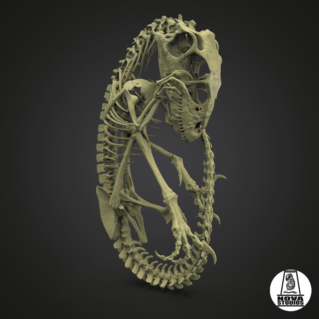Utahraptor fetus