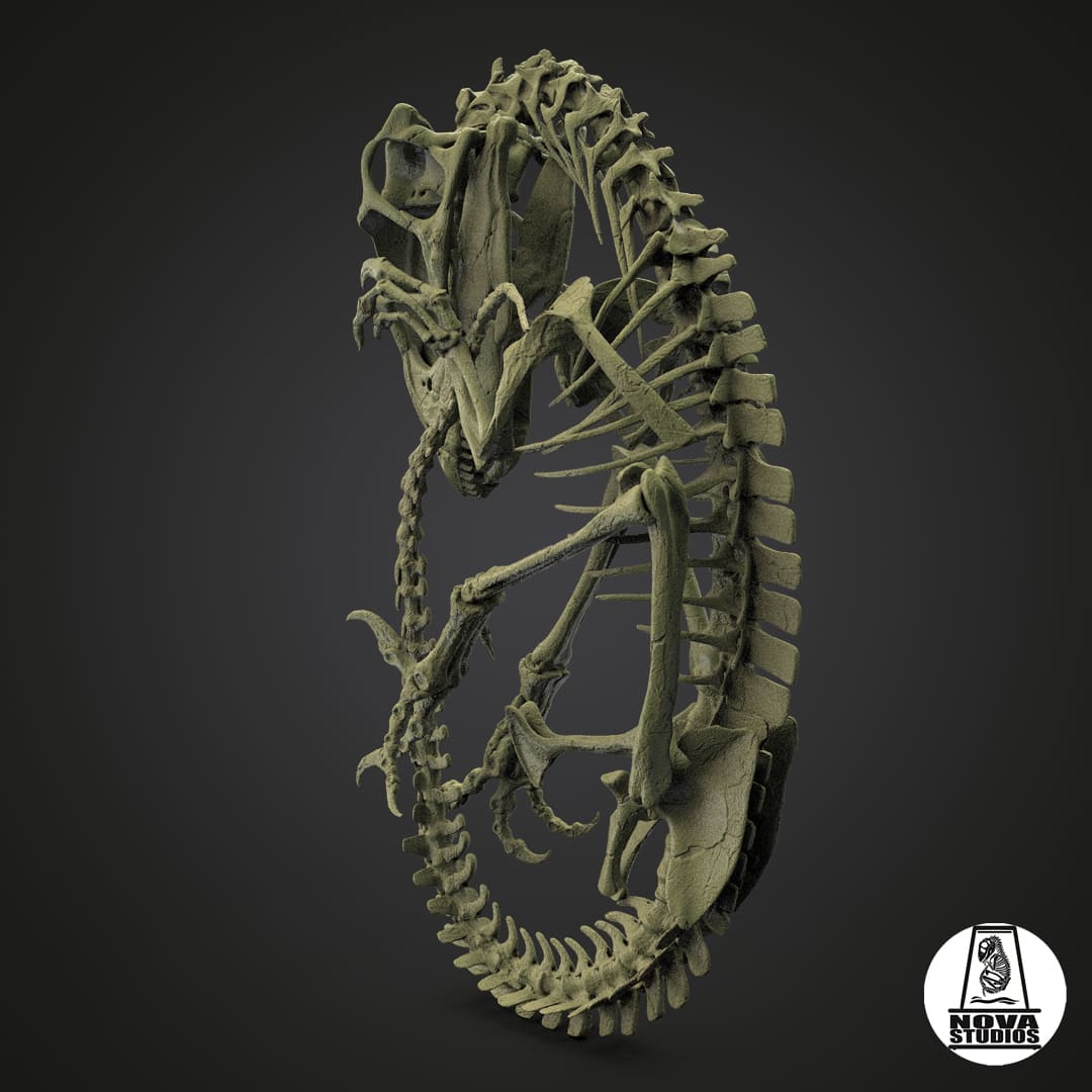 Utahraptor fetus