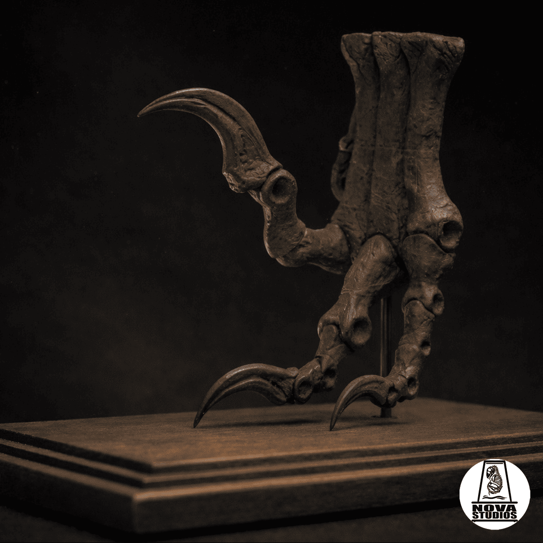 Utahraptor-Fuß