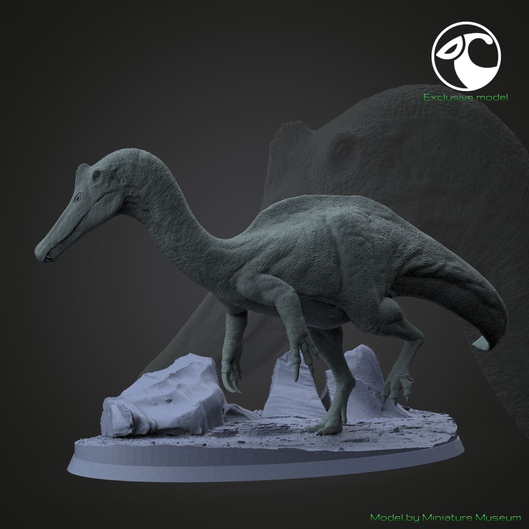 Vallibonavenatrix cani