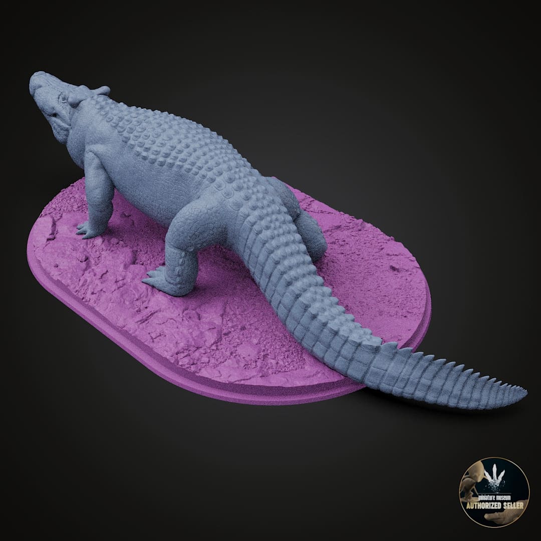 Voay robustus
