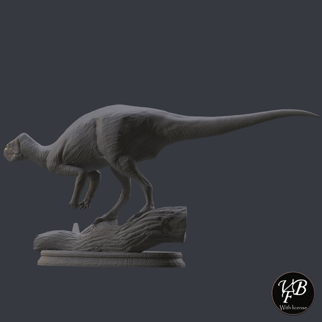 Zalmoxes robustus
