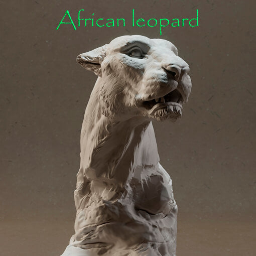 Afrikanischer Leopard