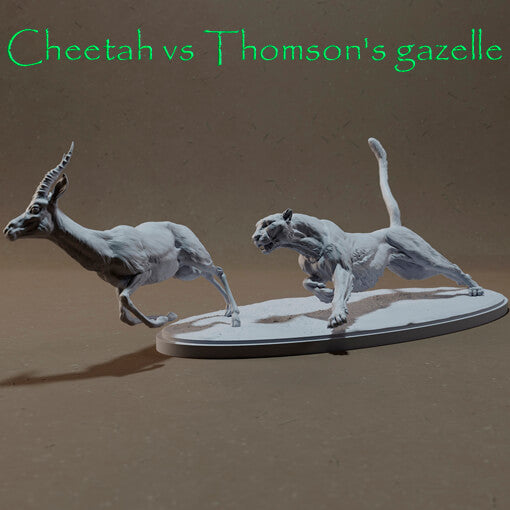 Guepardo Vs Gacela de Thomson