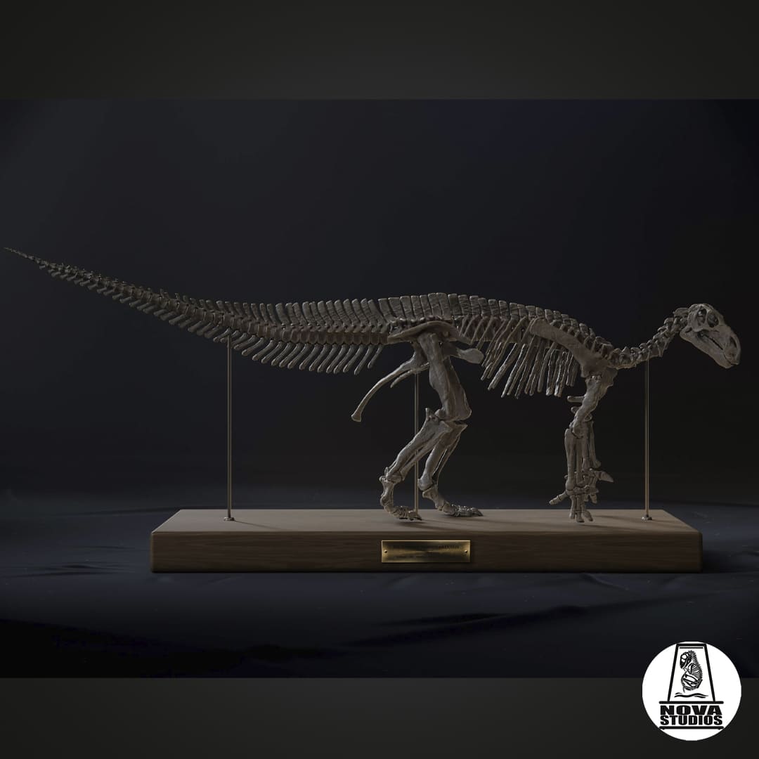 Iguanodon bernissartensis -MODERN POSE-