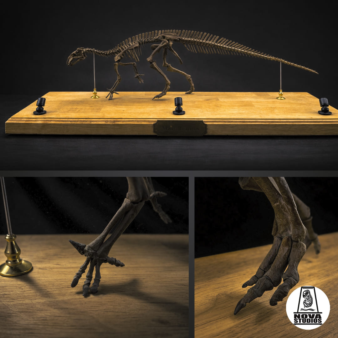 Mantellisaurus atherfieldensis