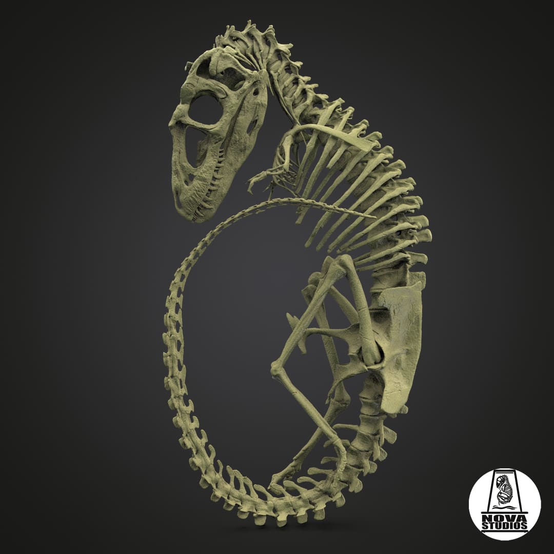 Tyrannosaurus rex fetus