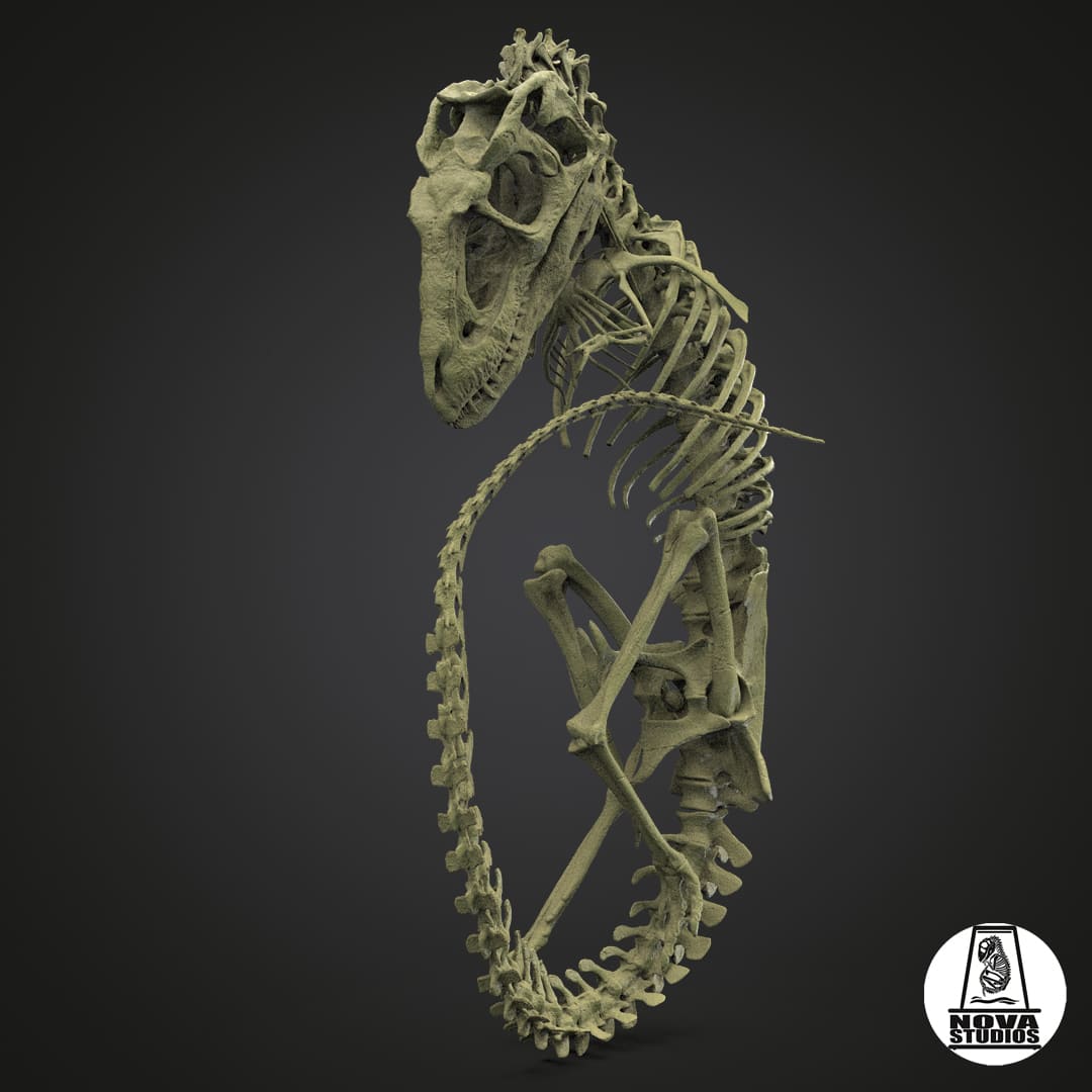 Tyrannosaurus rex fetus