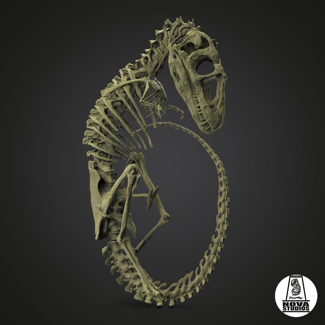 Tyrannosaurus rex fetus