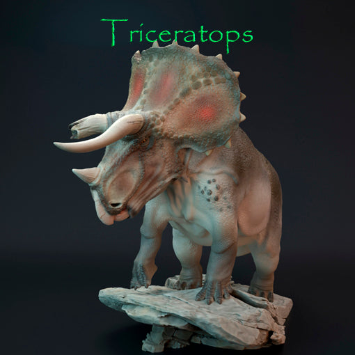 Triceratops