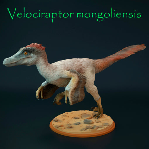 Velociraptor mongoliensis