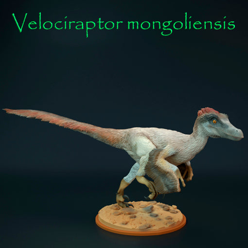 Velociraptor mongoliensis