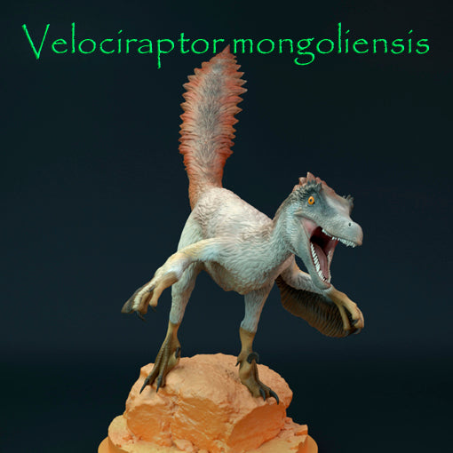 Velociraptor mongoliensis