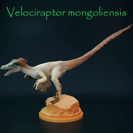 Velociraptor mongoliensis
