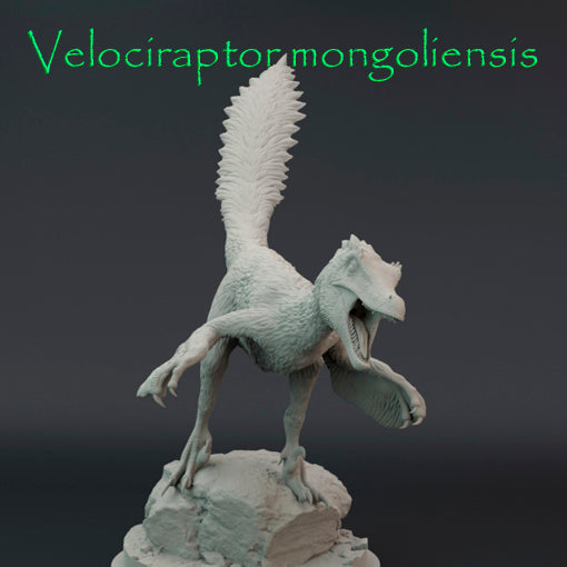 Velociraptor mongoliensis
