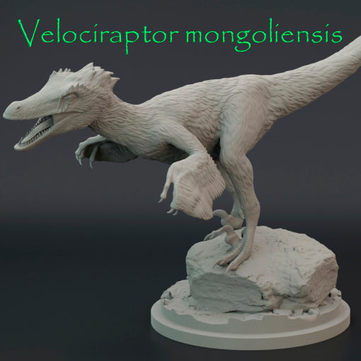 Velociraptor mongoliensis