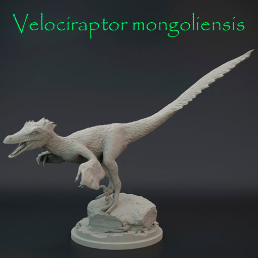 Velociraptor mongoliensis