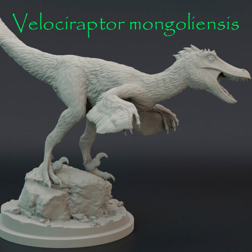 Velociraptor mongoliensis