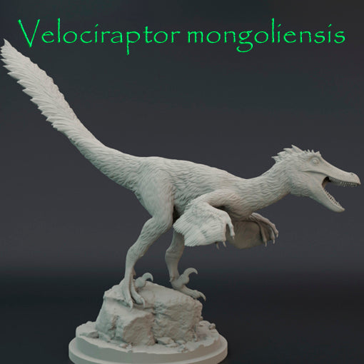 Velociraptor mongoliensis