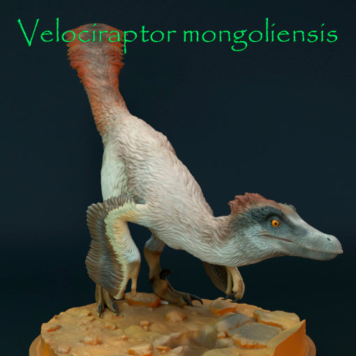 Velociraptor mongoliensis